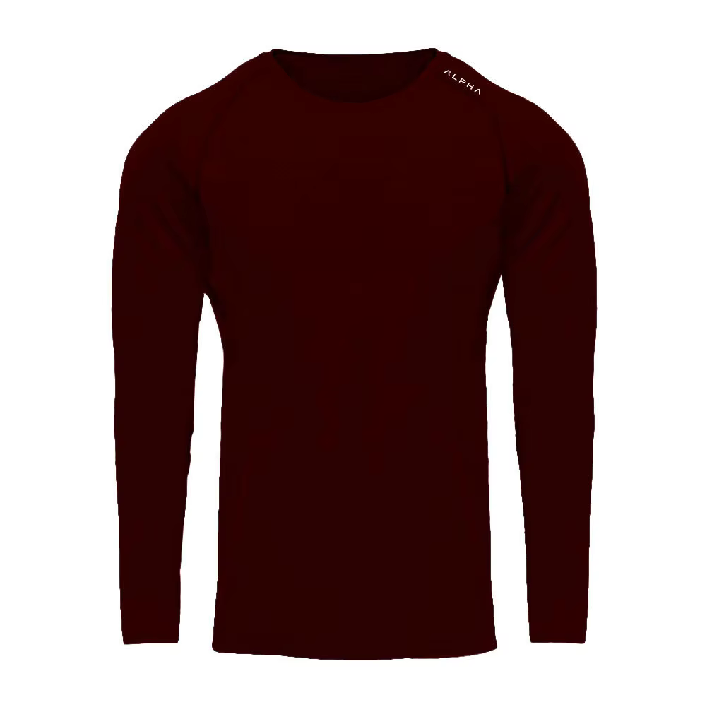 T-shirt de musculation à manches longues pour hommes, col rond, séchage rapide, sport, entraînement,