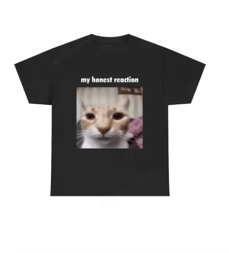 Mon honte réaction T-shirts drôle chat Meme T-shirts hommes femmes décontracté surdimensionné à manc