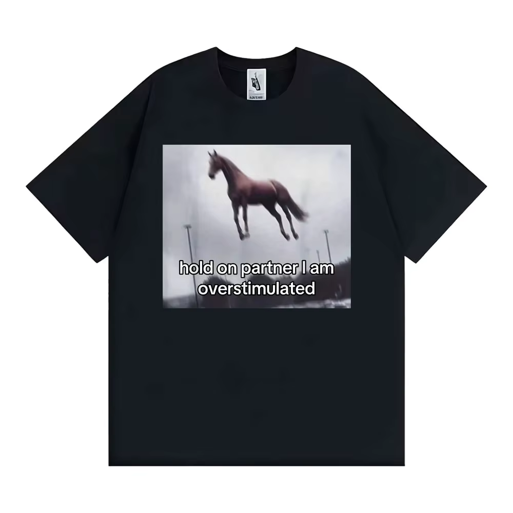T-shirt humoristique « Hold on Partner I Am Overstimulated Horse » pour hommes et femmes, décontract