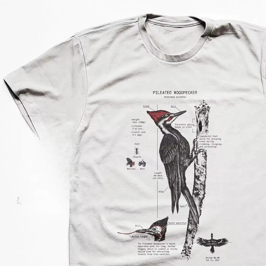 T-shirt avec diagramme anatomique du hibou-grenouille, T-shirt avec illustration biologique du hibou