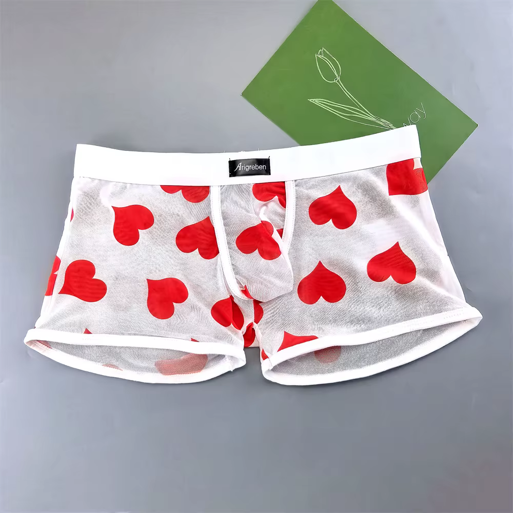 Boxer Transparent en maille «coeurs» pour homme, pochette romantique, short de coffre, sous-vêtement