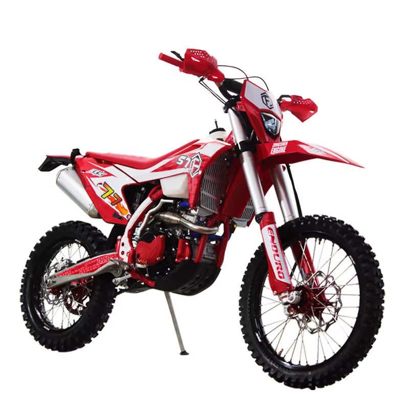 Moto de course à grande vitesse pour adulte, moteur à deux soupapes, Pit Bike, 300CC
