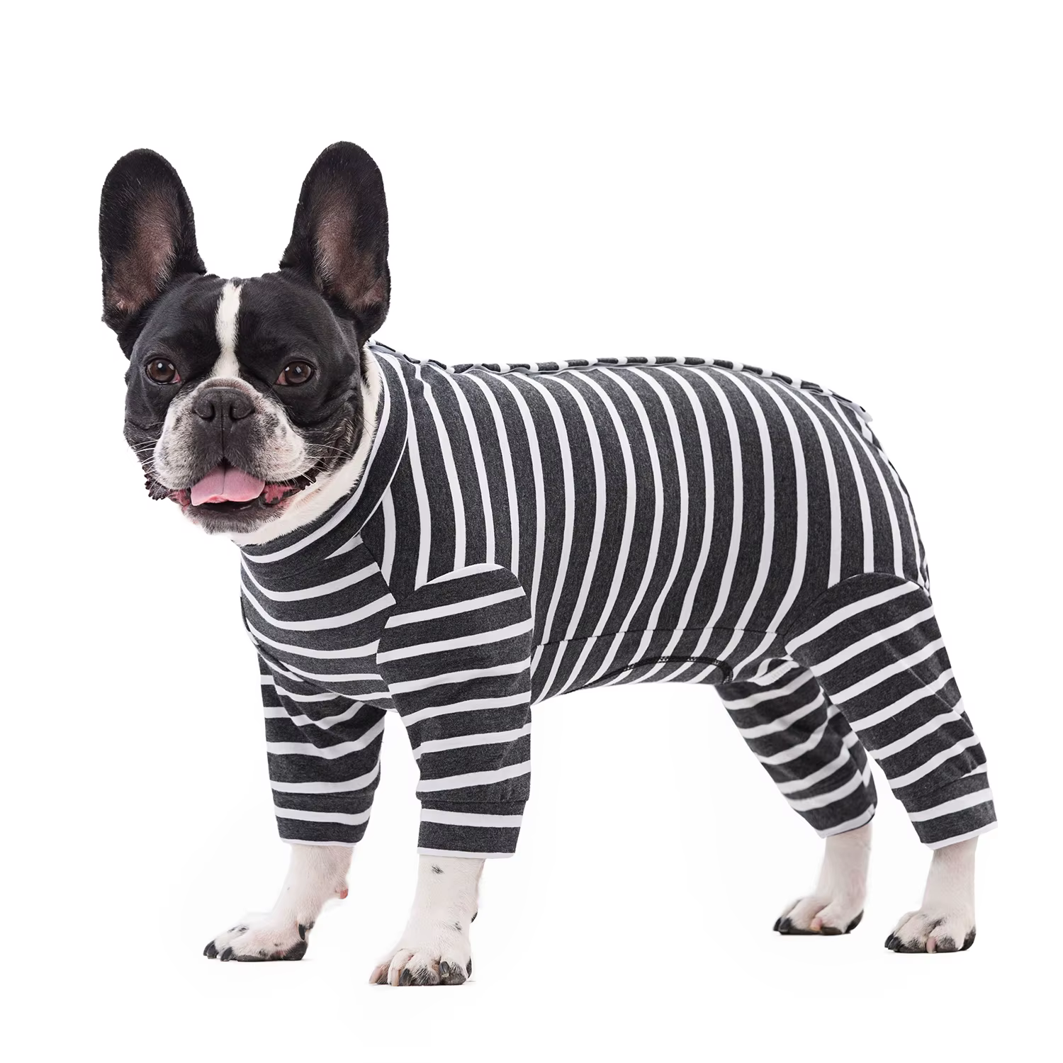 Pyjama pour petits chiens, rayé, doux et respirant, combinaison de récupération pour animaux de comp