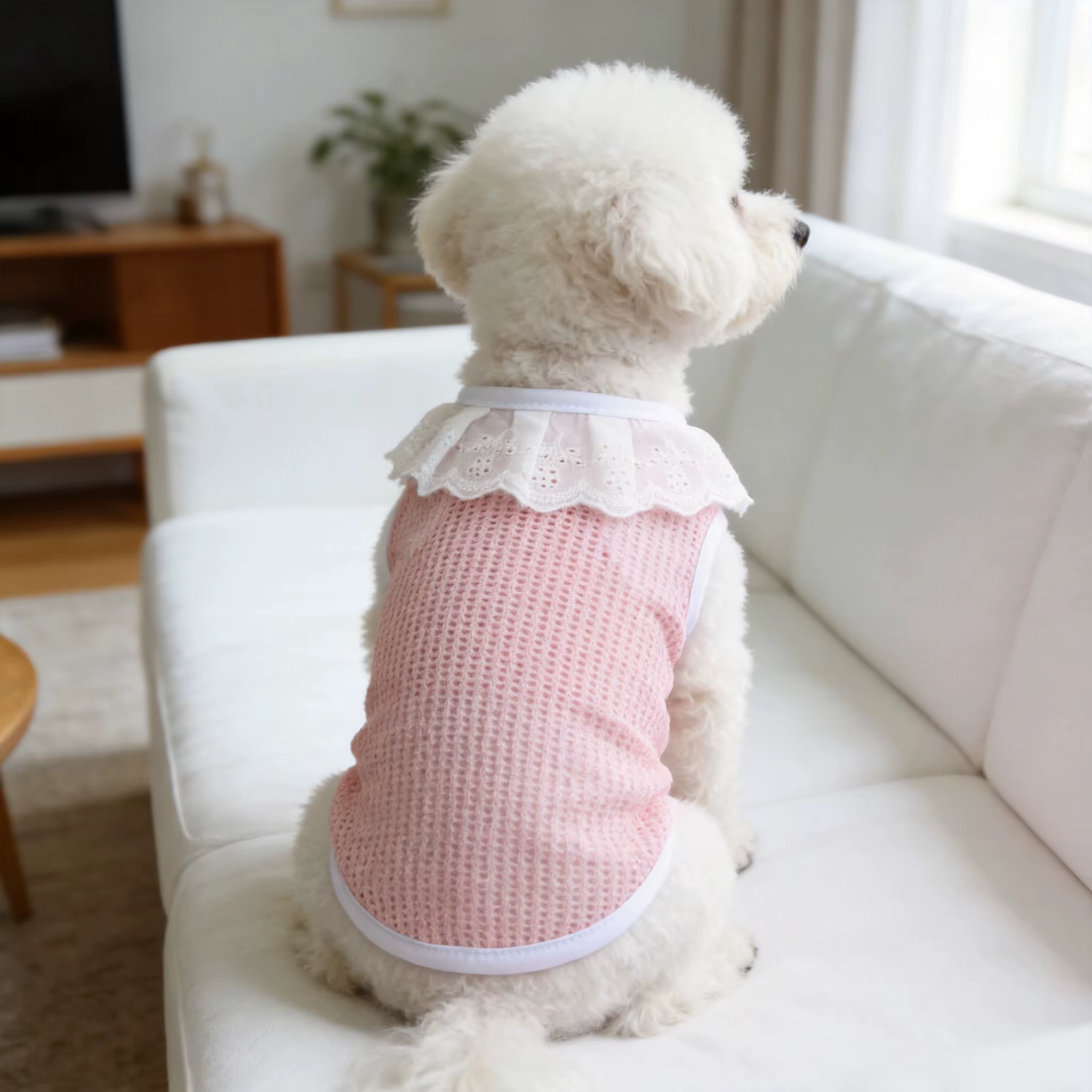 Adorables débardeurs pour animaux de compagnie à bords dentelés, disponibles en trois couleurs, avec