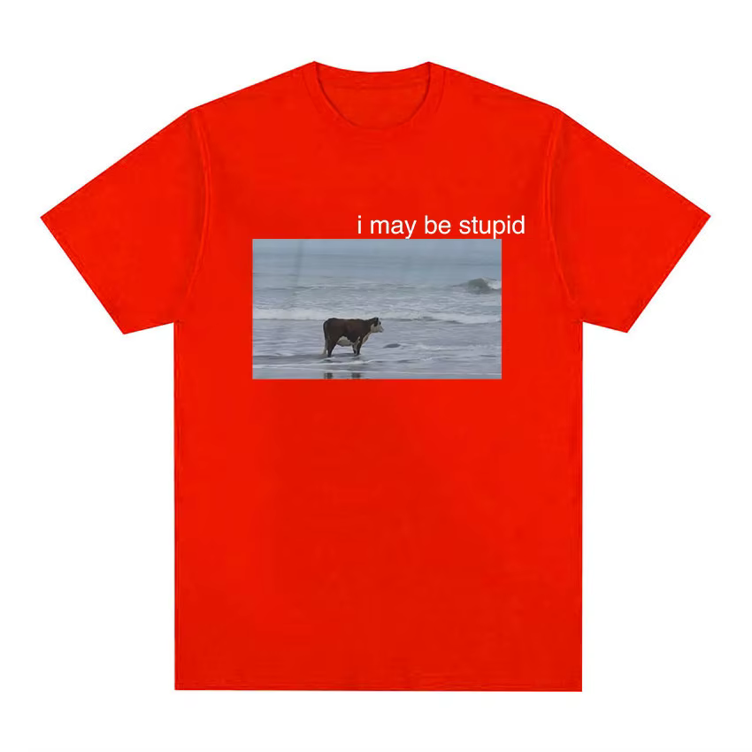 I May Be Stupid Cow on Beach Funny Meme T-shirt pour hommes, T-shirt à manches courtes à col rond, É