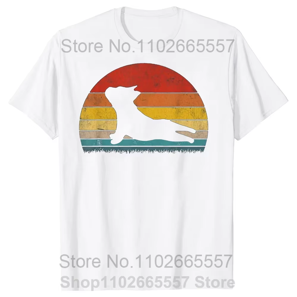 T-shirt manches courtes homme, streetwear, estival et humoristique, en coton, avec bouledogue frança