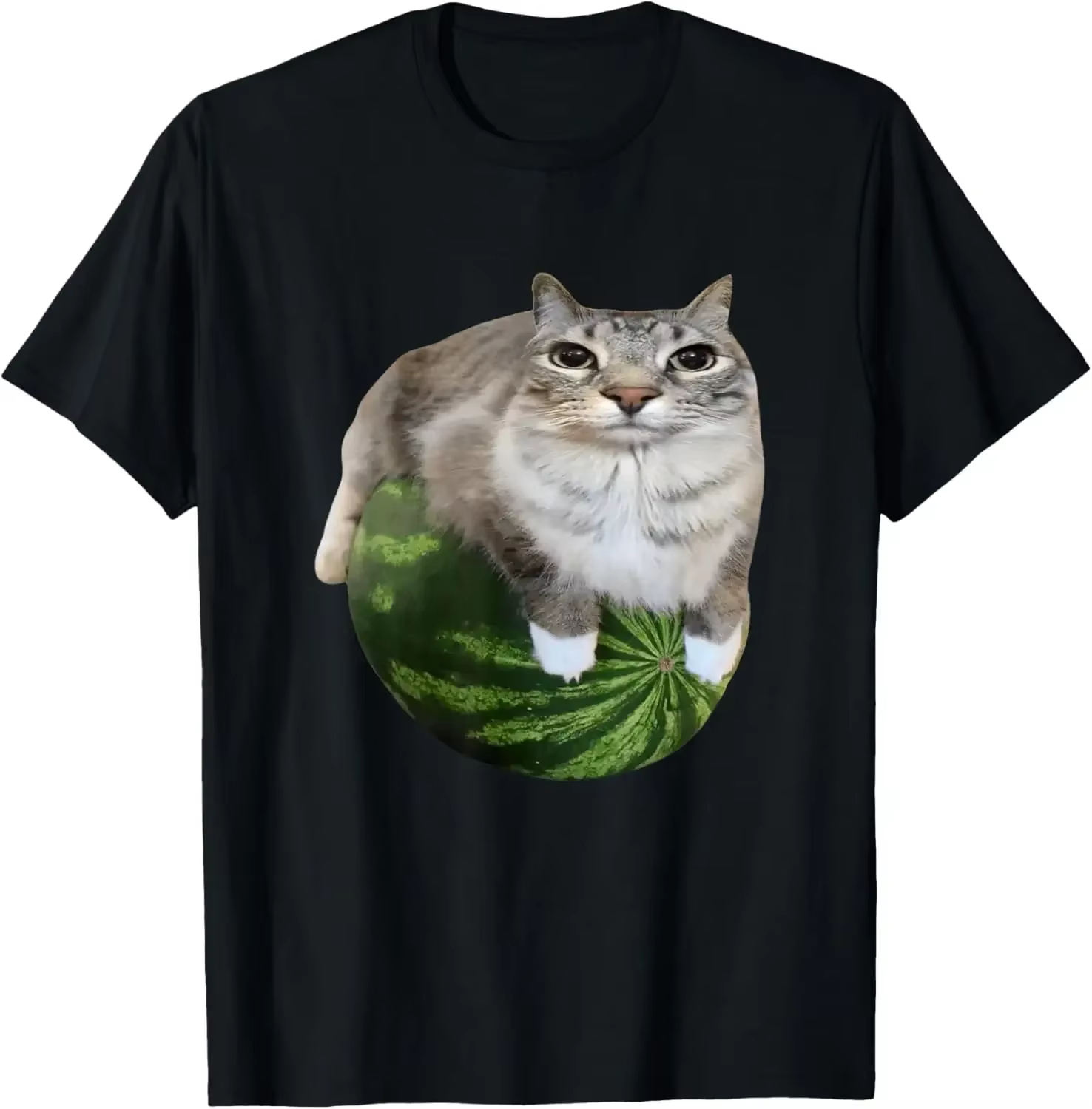 T-shirt pastèque chat idiot Meme, une chemise hilarante imprimée pastèque est un haut unisexe élégan