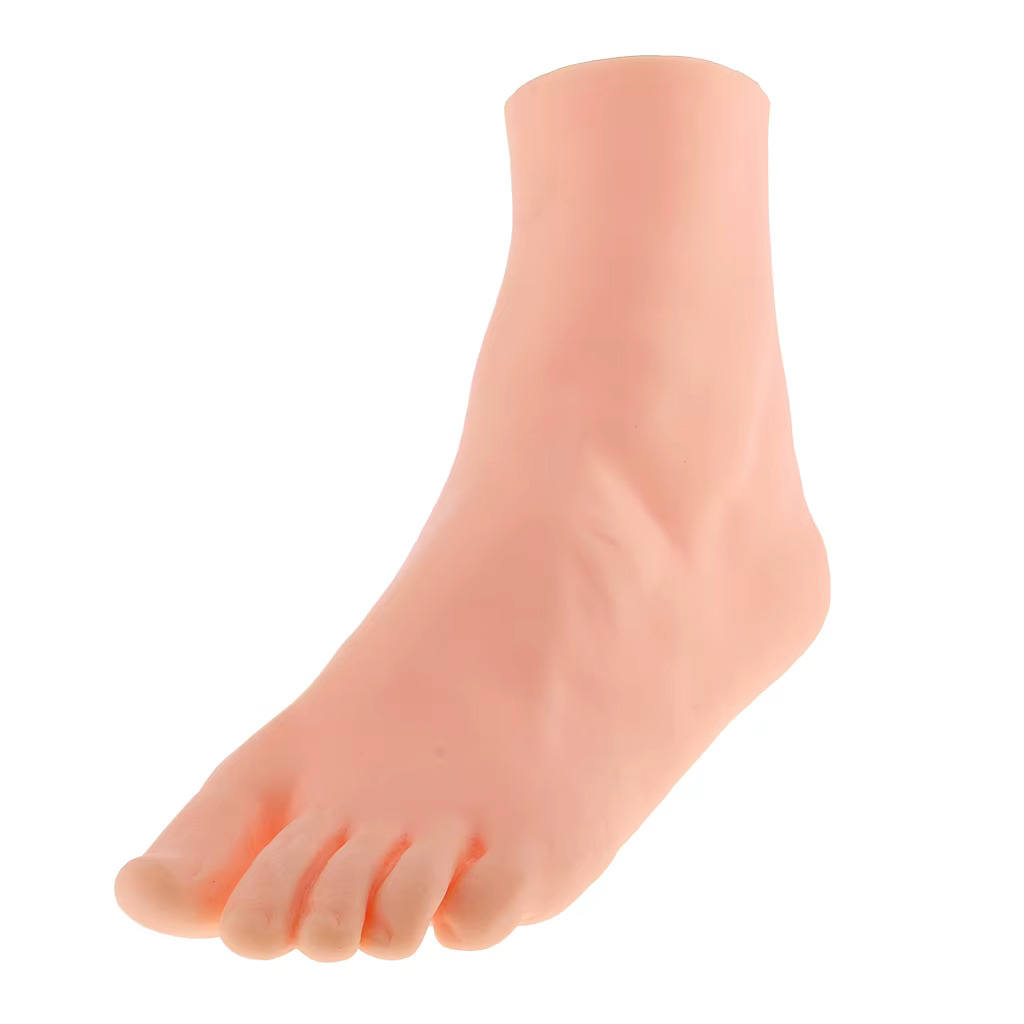 Magasin de mannequin de pied féminin