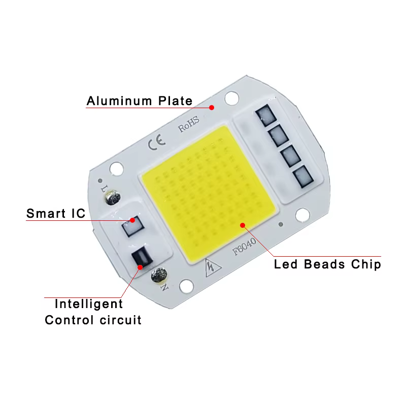 Puce LED COB lampe 10W 20W 30W 50W AC 220V 240V IP65 IC intelligent pas besoin de pilote bricolage projecteur ampoule LED projecteur lampe extérieure perle