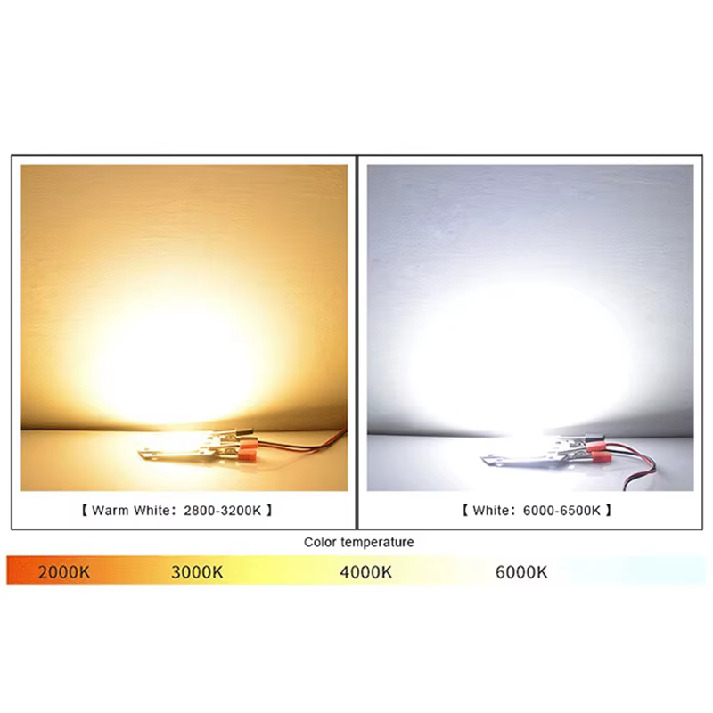 Puce LED COB lampe 10W 20W 30W 50W AC 220V 240V IP65 IC intelligent pas besoin de pilote bricolage projecteur ampoule LED projecteur lampe extérieure perle