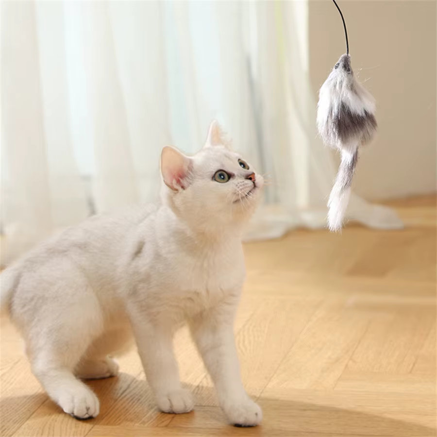 Balle jouet interactive pour chat «à piles » avec souris de suivi - Teaser roulant automatique pour toutes les races, alimenté par batterie (Batt