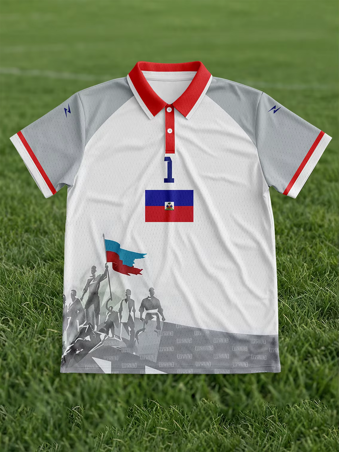 Les supporters des Éléphants d'Haïti