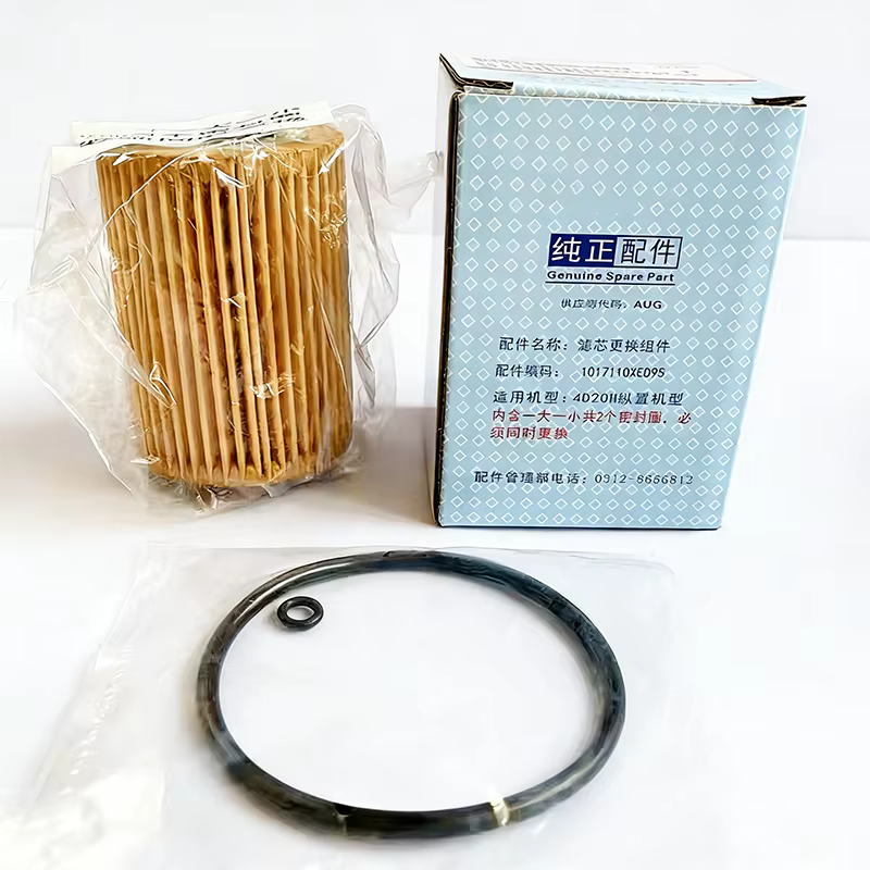 Filtre à huile de voiture d'origine, 10 pièces, pour Great Wall PAO Haval Poer Cannon GWM Power Fengjun 5 7 2.0 Diesel Pickup 2.0 GW4D20M