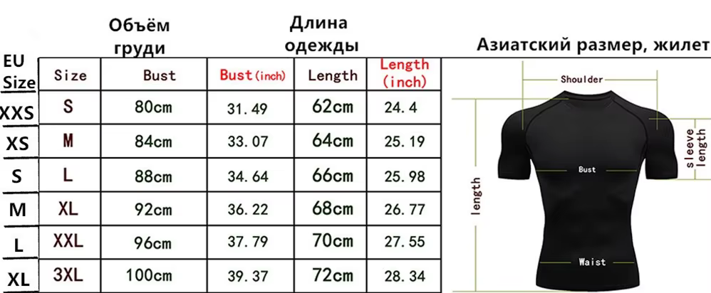 T-shirt de sport à manches courtes pour hommes