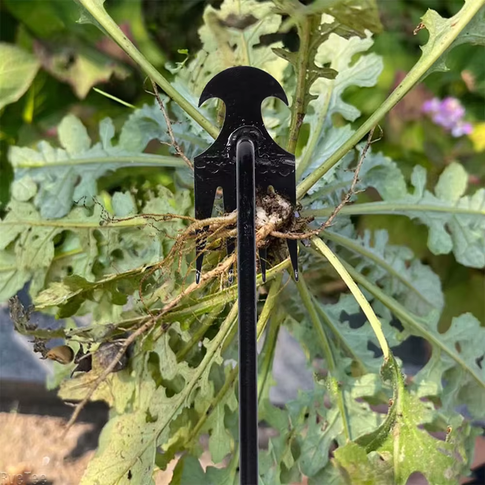 Houe de jardin, outils agricoles