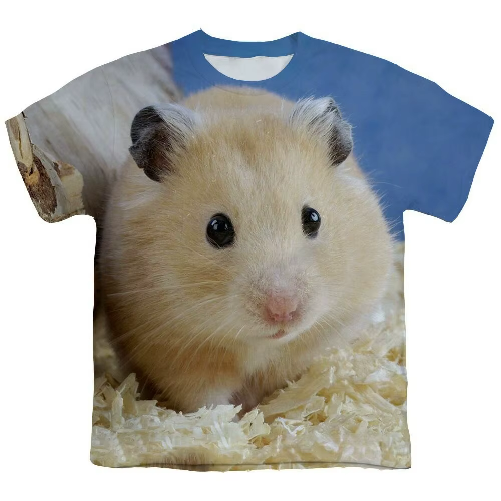 Drôle cochon d'inde T-Shirts Hamster Animal impression 3D Streetwear hommes femmes décontracté mode surdimensionné