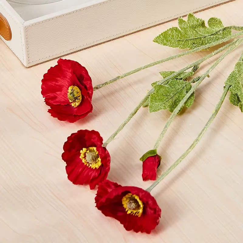 Fleur de pavot Xiaoyu, injFlower de pavot