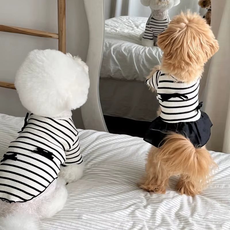 Gilet rayé pour chien, robe pour chien