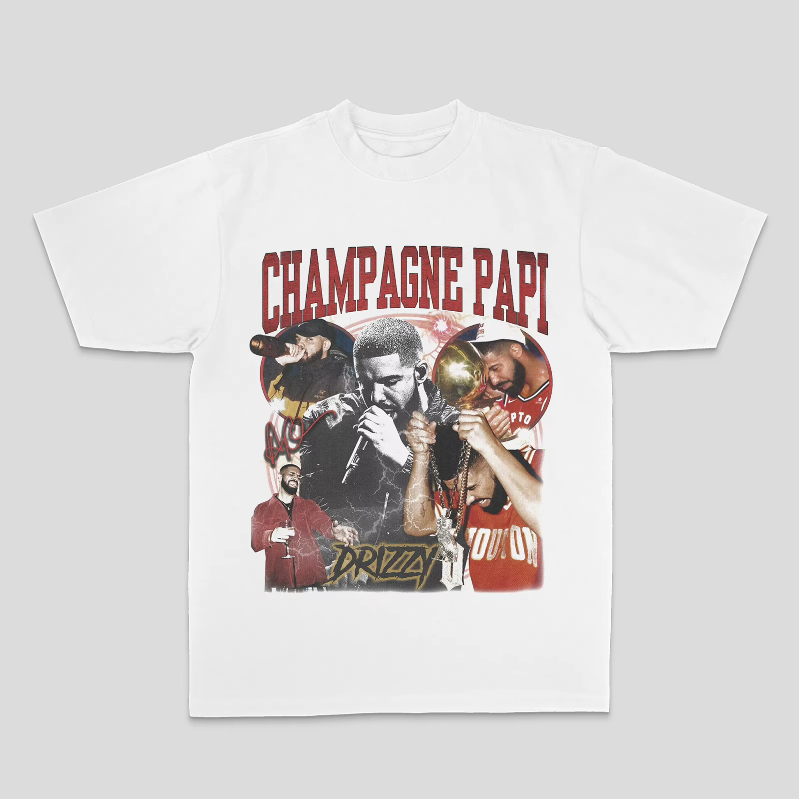 Drake européen et américain mâle canard Rock