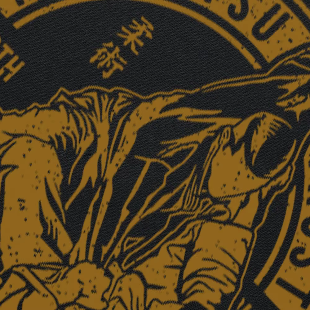 T-shirt 100% coton, Cool et décontracté, à la mode, JIU JITSU BJJ, brésilien Jiu Jitsu, à la mode, 2023