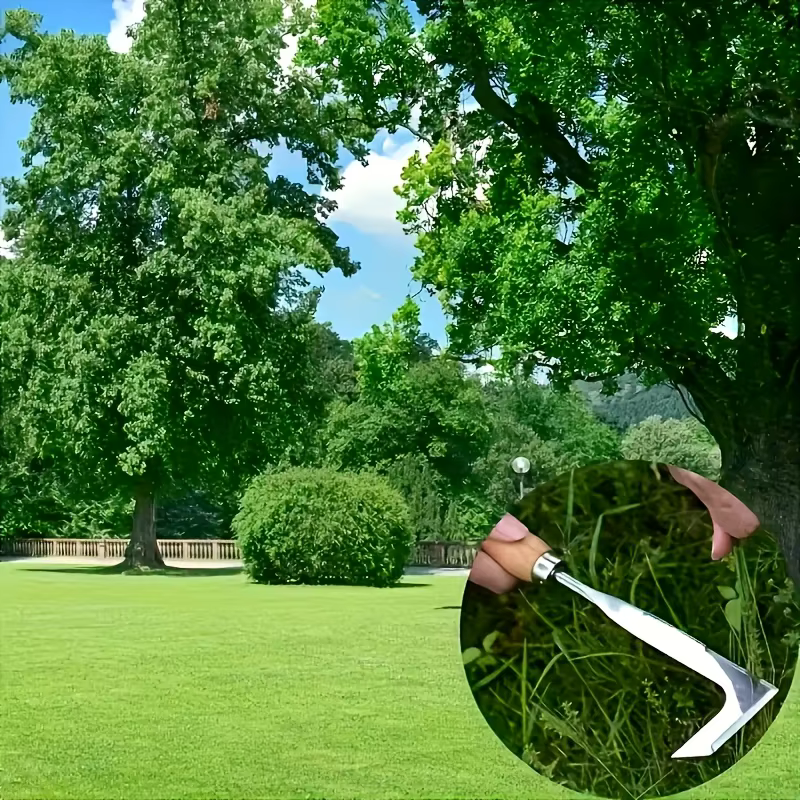 Couteau de désherbage de jardin en acier inoxydable, outil de désherbage manuel à manche en bois pour pelouse, potager et entretien des plantes, jardinage d'été A