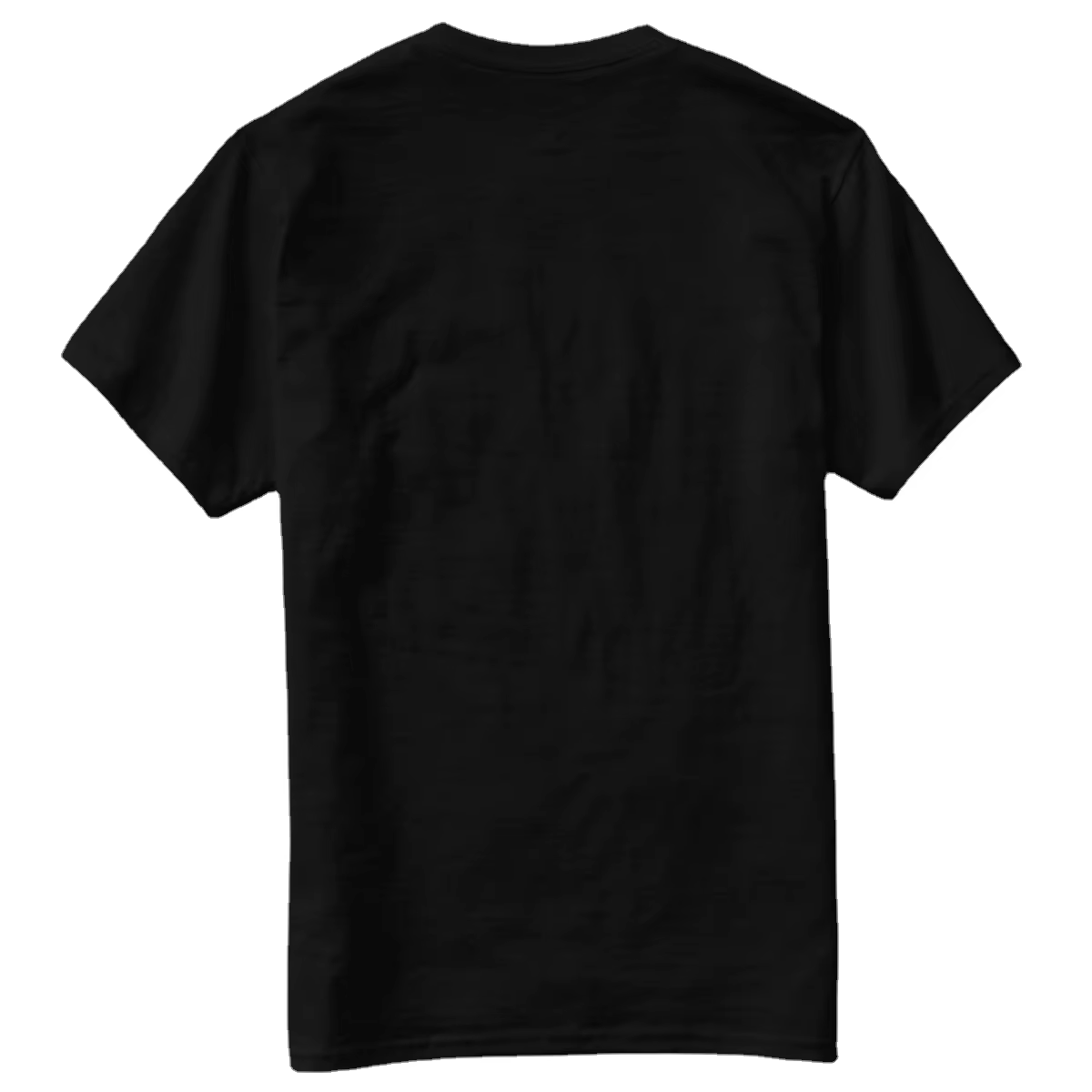 Le t-shirt du président russe Vladimirovich