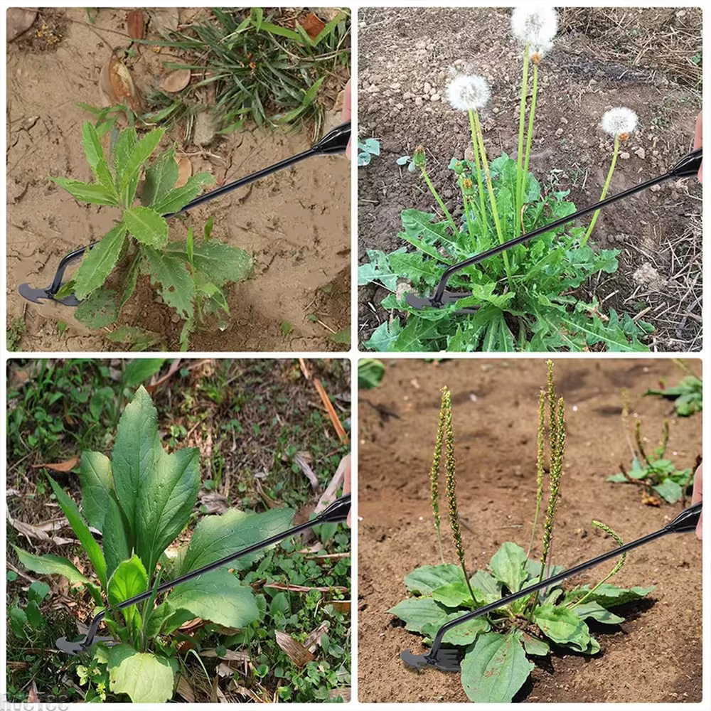 Houe de jardin, outils agricoles