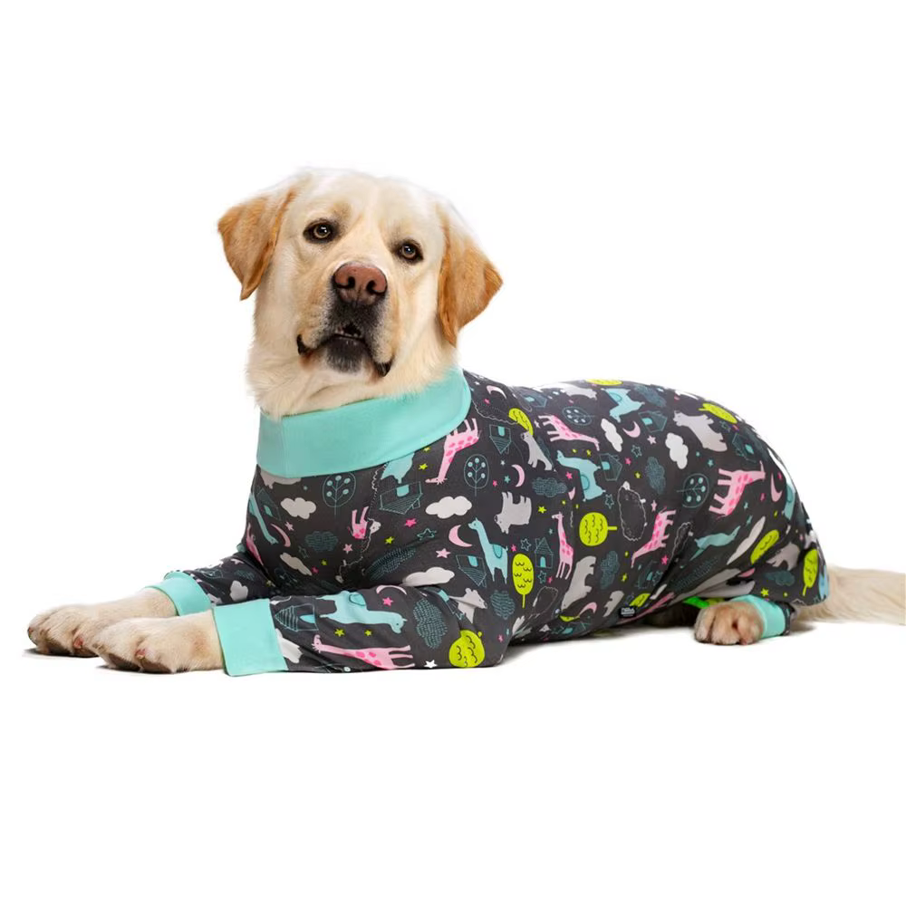 Pyjama de récupération pour animaux de compagnie