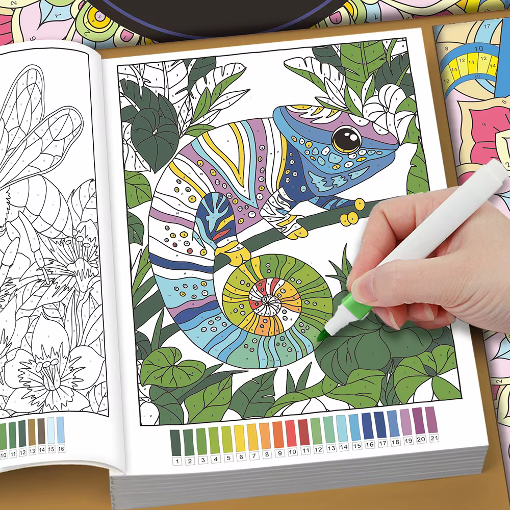 Livre de coloriage par numéros pour adultes
