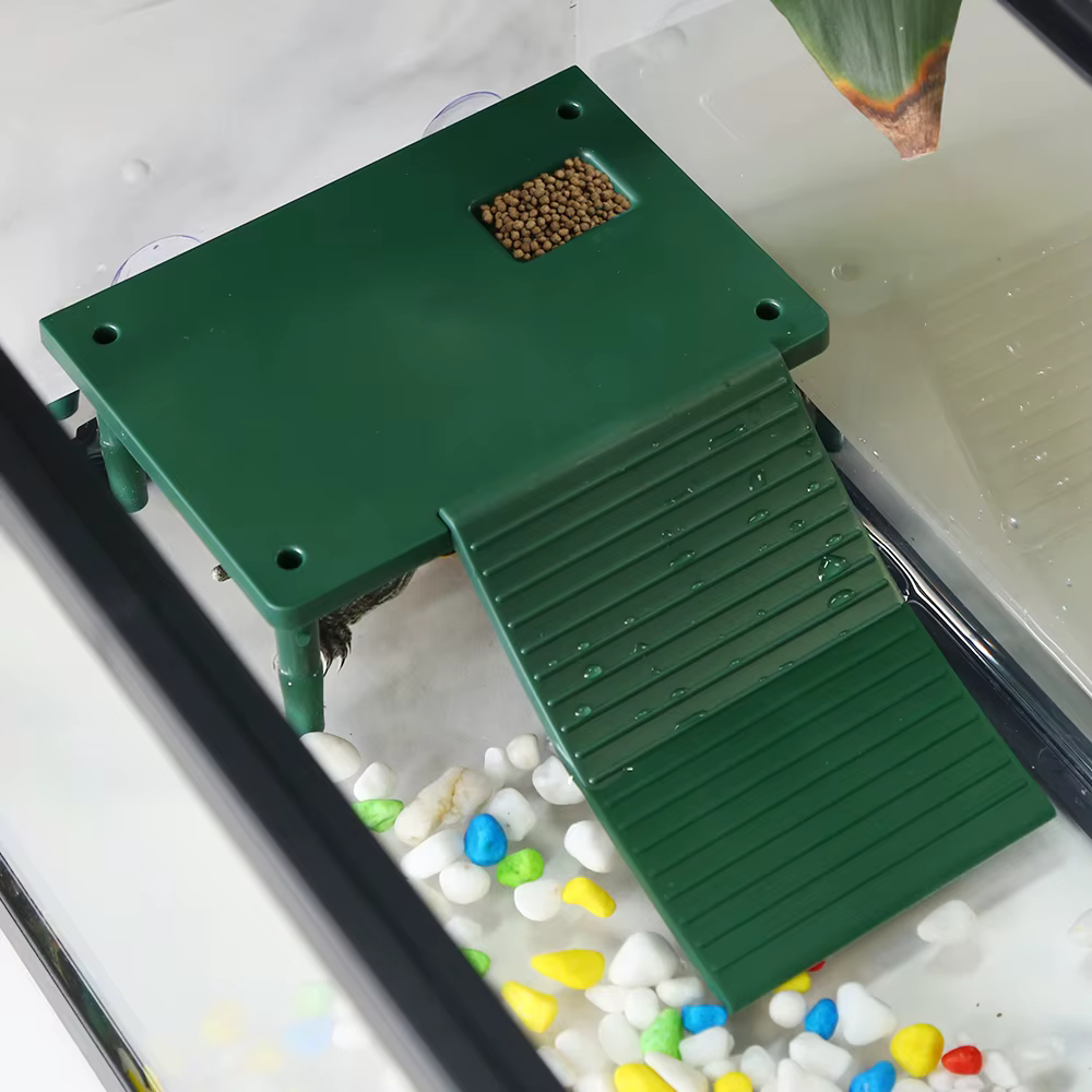 Plateforme de bain de soleil tortue