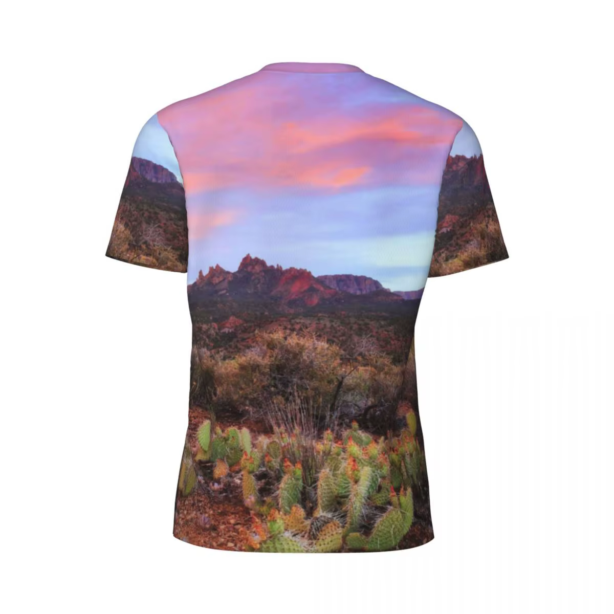 Désert coucher de soleil T-Shirt Cactus paysage à la mode Cool Gym t-shirts manches courtes respirant