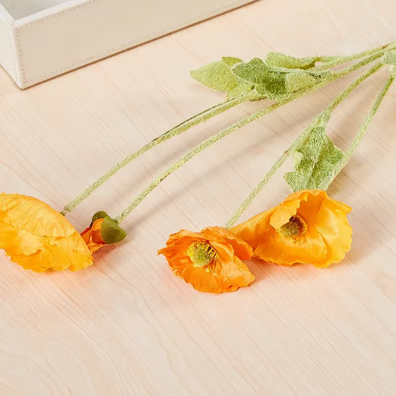 Fleur de pavot Xiaoyu, injFlower de pavot