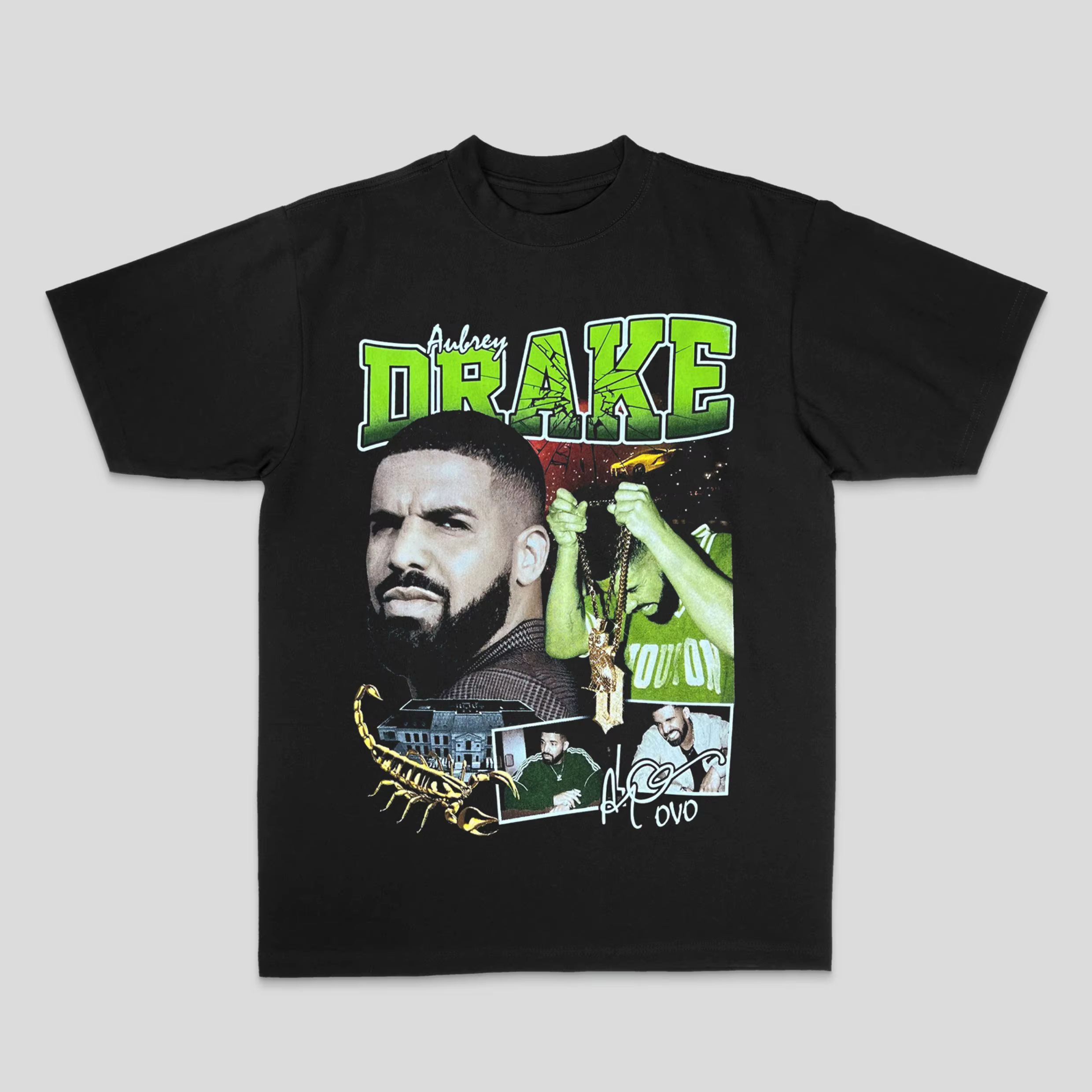 Drake européen et américain mâle canard Rock