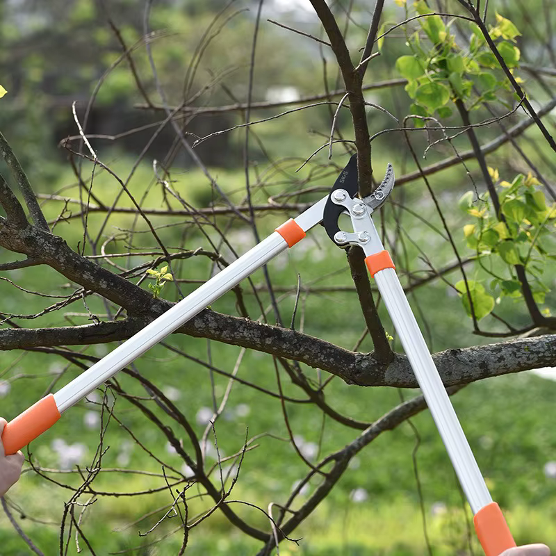Sécateur de jardin à long manche pour branches épaisses