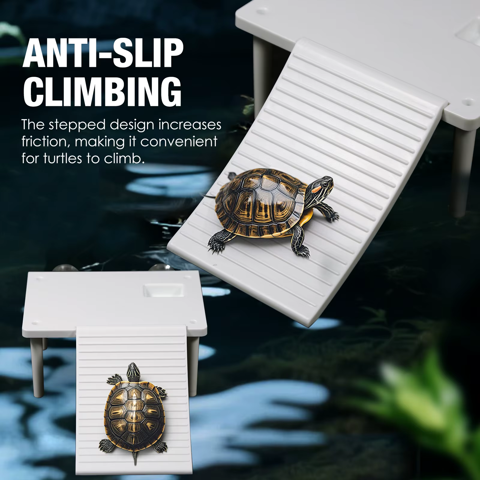 Plateforme de bain de soleil tortue