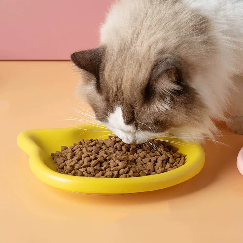 Bols pour animaux de compagnie en forme de chat