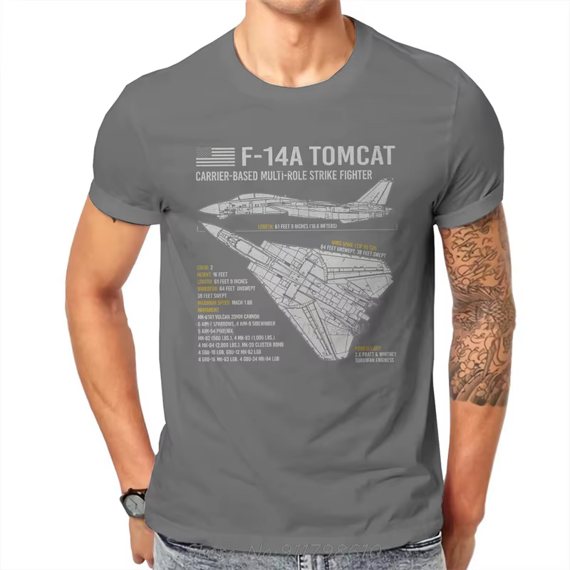 F-14 Tomcat avion de la marine américaine
