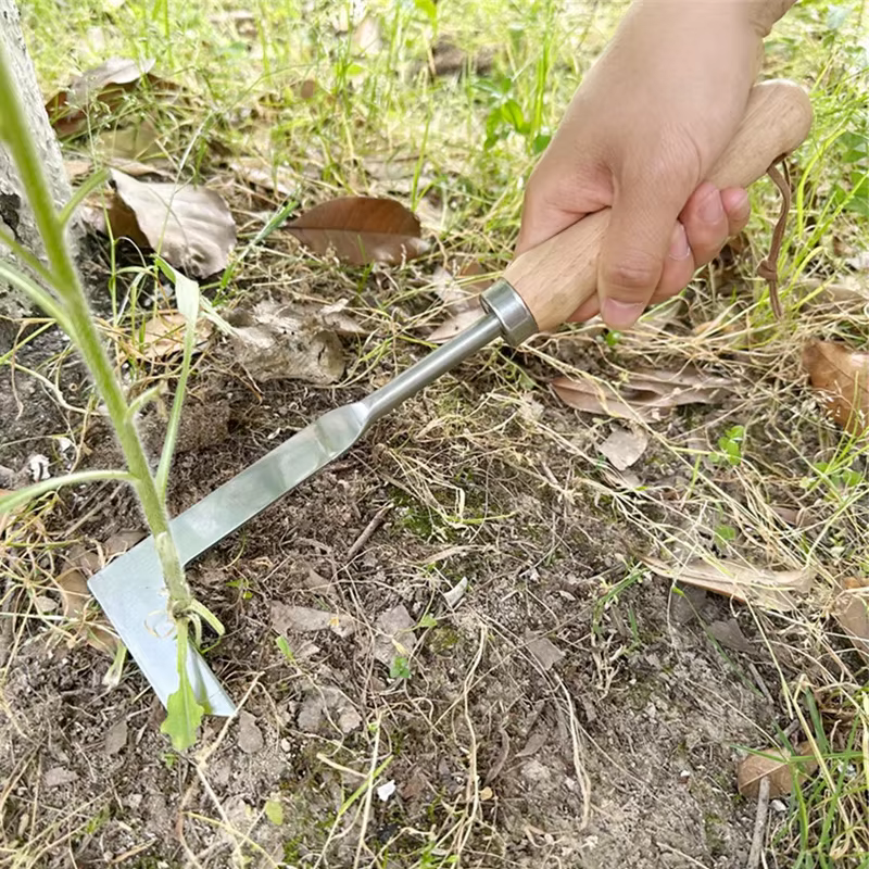 Désherbeur de jardin à manche en bois en acier inoxydable, désherbeur manuel, outil flacon de coupe, désherbeur multifonction, outil de greffe