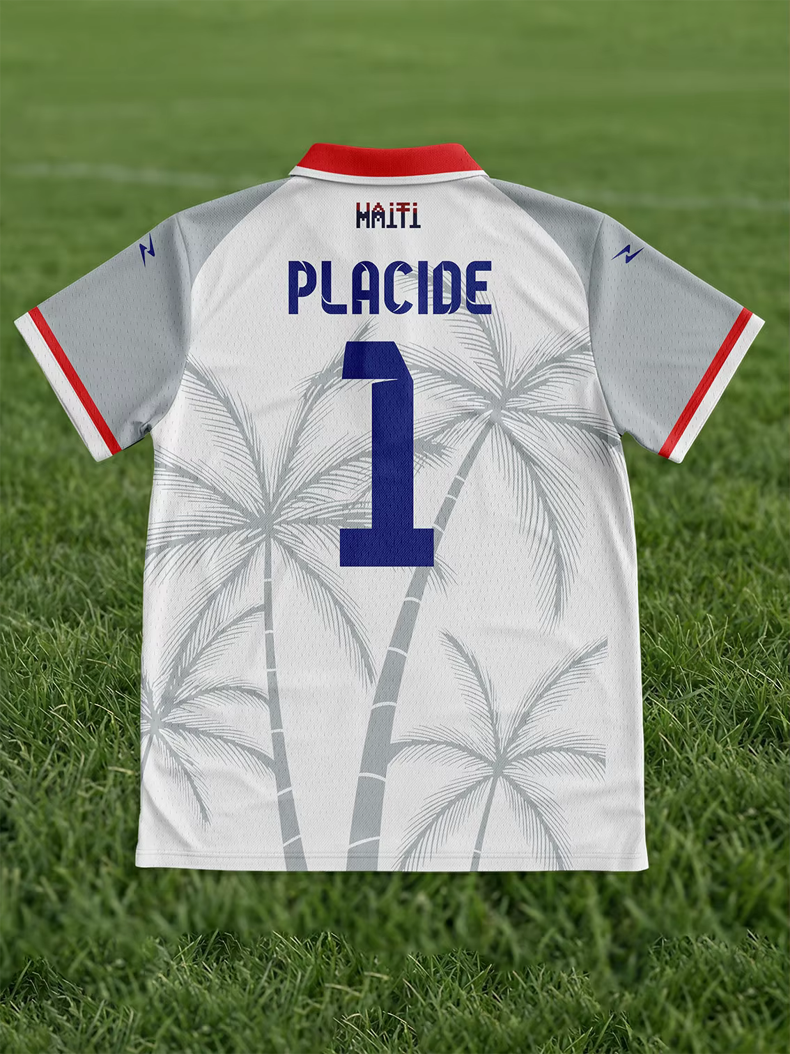 Les supporters des Éléphants d'Haïti