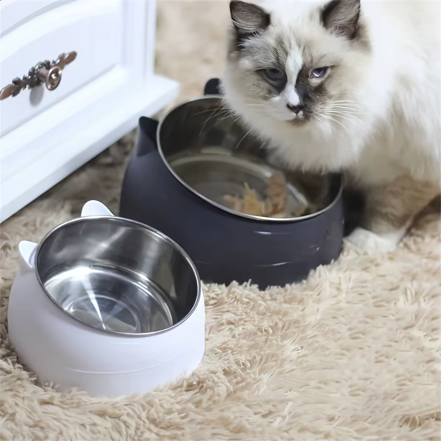 Bol surélevé en acier inoxydable pour chat