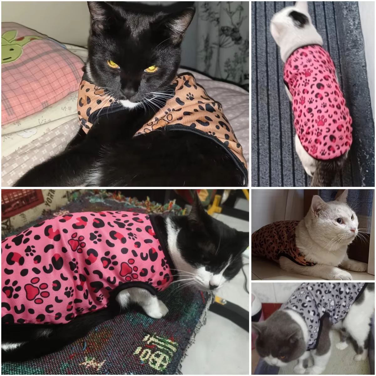Vêtements pour chat à imprimé léopard
