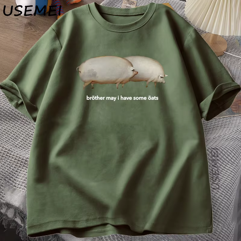 Frère mai j'ai quelque avoine T-shirt hommes femmes drôle cochon graphique t-shirts Harajuku ample décontracté à