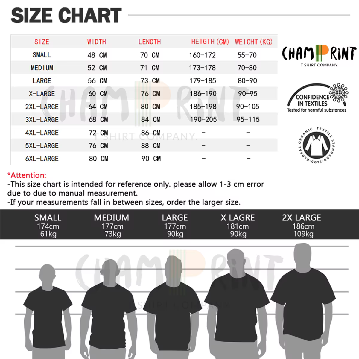 T-Shirt en Coton pour Homme