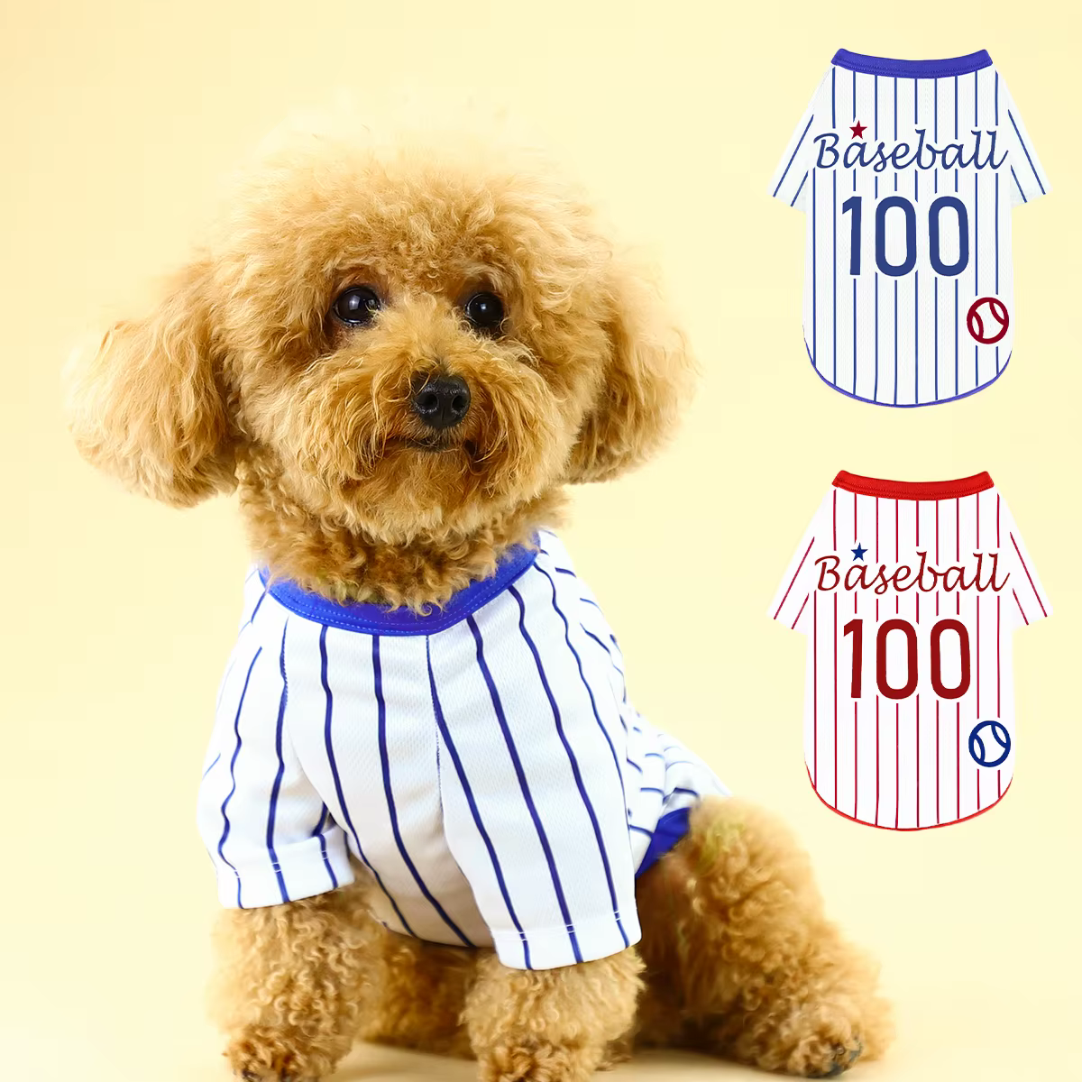 Présentation de notre T-shirt athlétique pour chien rayé