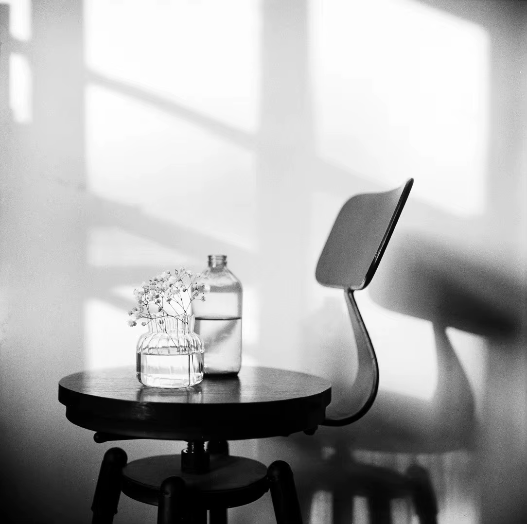 Film Négatif Noir et Blanc Classique Fomapan 100 Original 135 35mm 36 Expositions par Rouleau