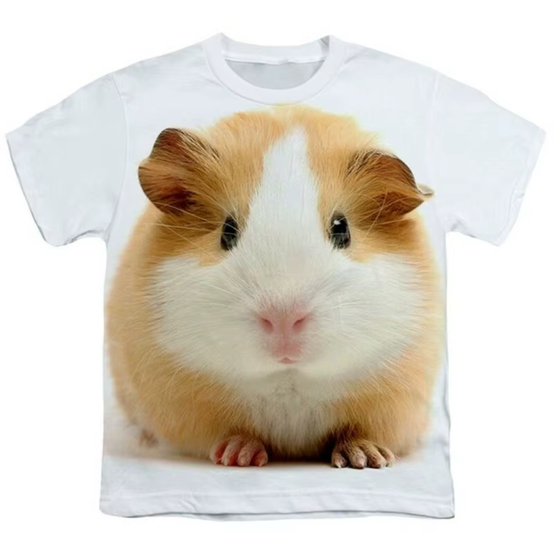 Drôle cochon d'inde T-Shirts Hamster Animal impression 3D Streetwear hommes femmes décontracté mode surdimensionné