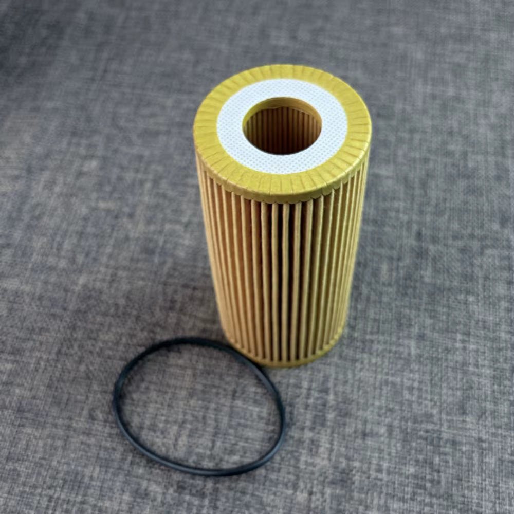 Filtre à huile 06L115466 06L115562 2.0 et 1.8, pour Audi A3 A4 A5 A7 A8 Q5 VW GOLF PASSAT POLO Beetle Jetta Tiguan, 10 pièces