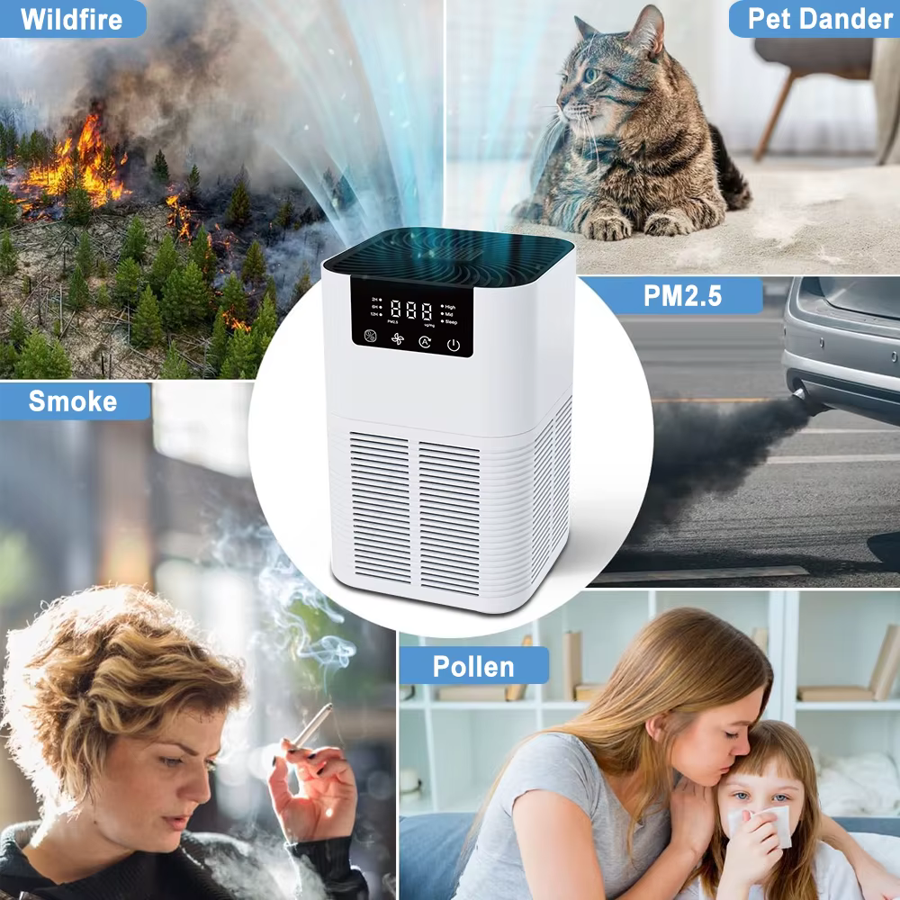 Purificateur d'air pour la maison