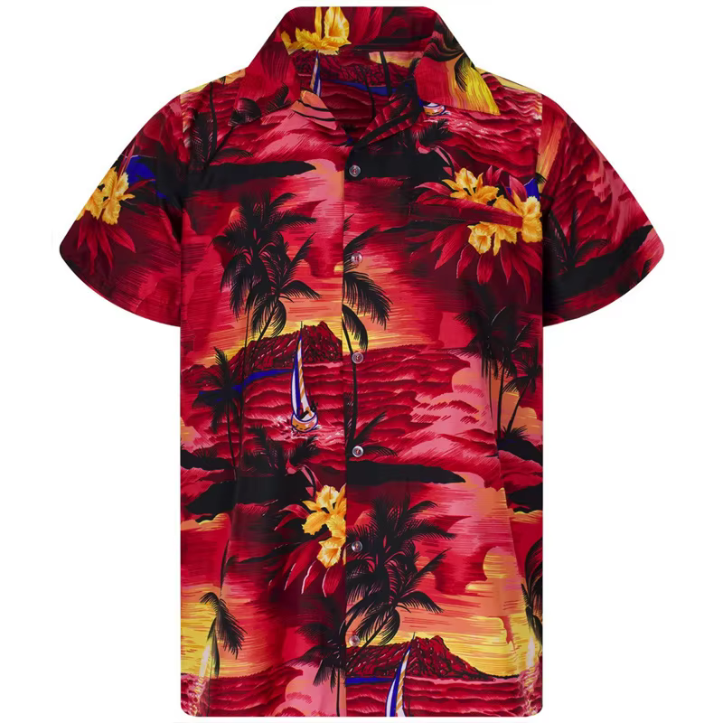 Chemise Homme 2024 Nouveau Style Imprimée à Revers Manches Courtes Hawaïenne Vacances Été Décontractée Respirante Streetwear Extérieur Travail Quotidien