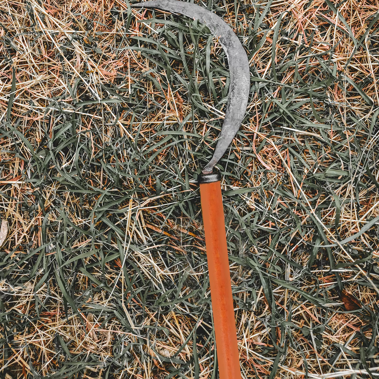 Outil à manche en bois, remplacement du bois dur pour pelle, houe, outils agricoles de jardinage, confortable, antidérapant, universel
